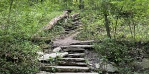French Park - One of the Best Hiking Spots in Cincinnati!
