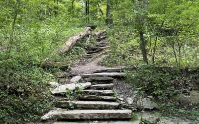 French Park – One of the Best Hiking Spots in Cincinnati!