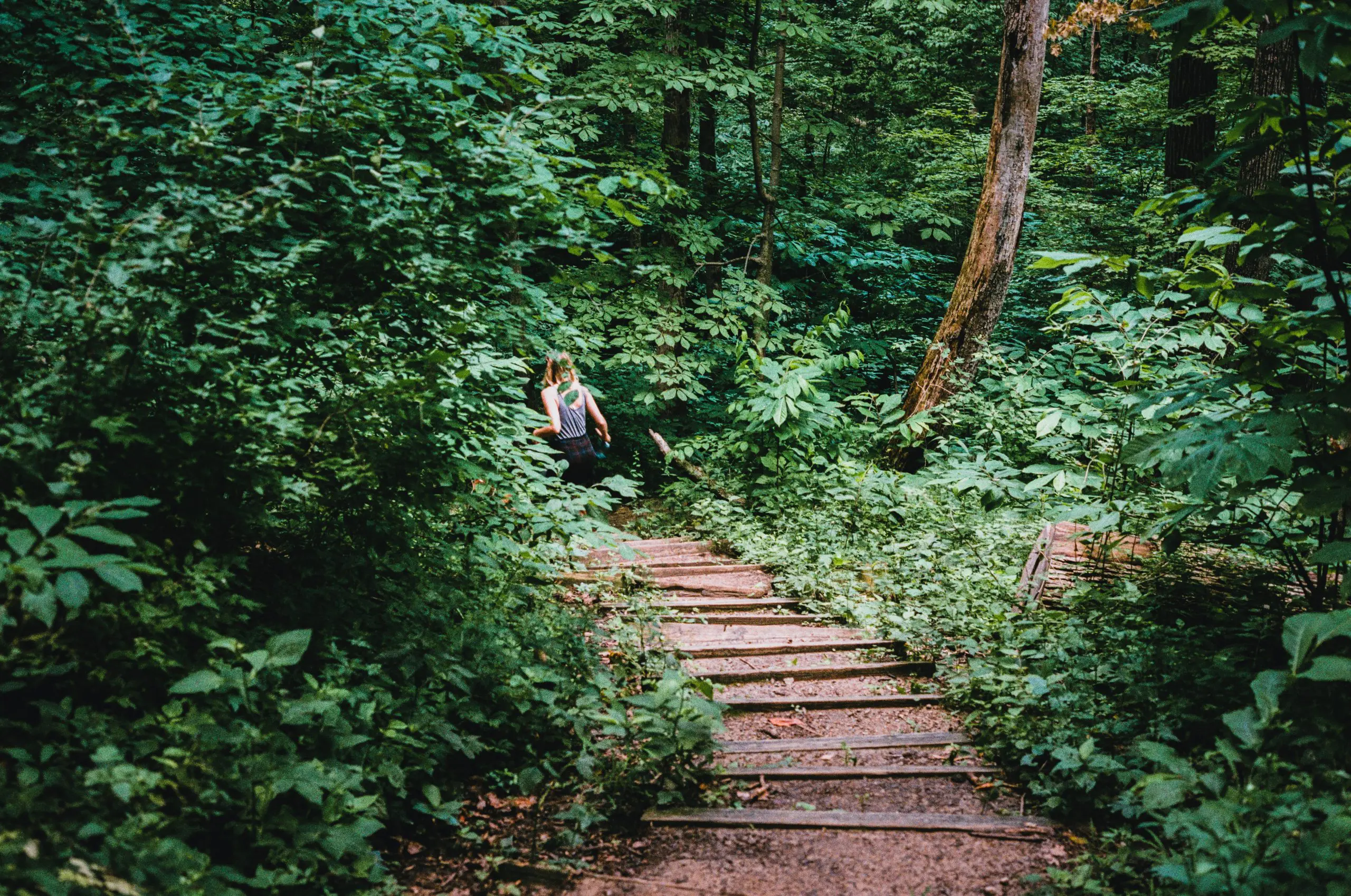 Photo by Sean Foster on Unsplash