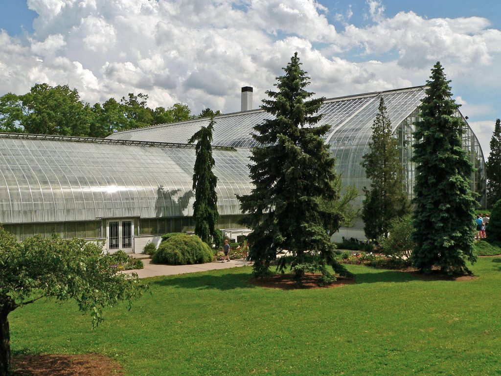 Cincinnati's Krohn Conservatory – A Complete and Comprehensive Guide! -  Lost In Cincinnati