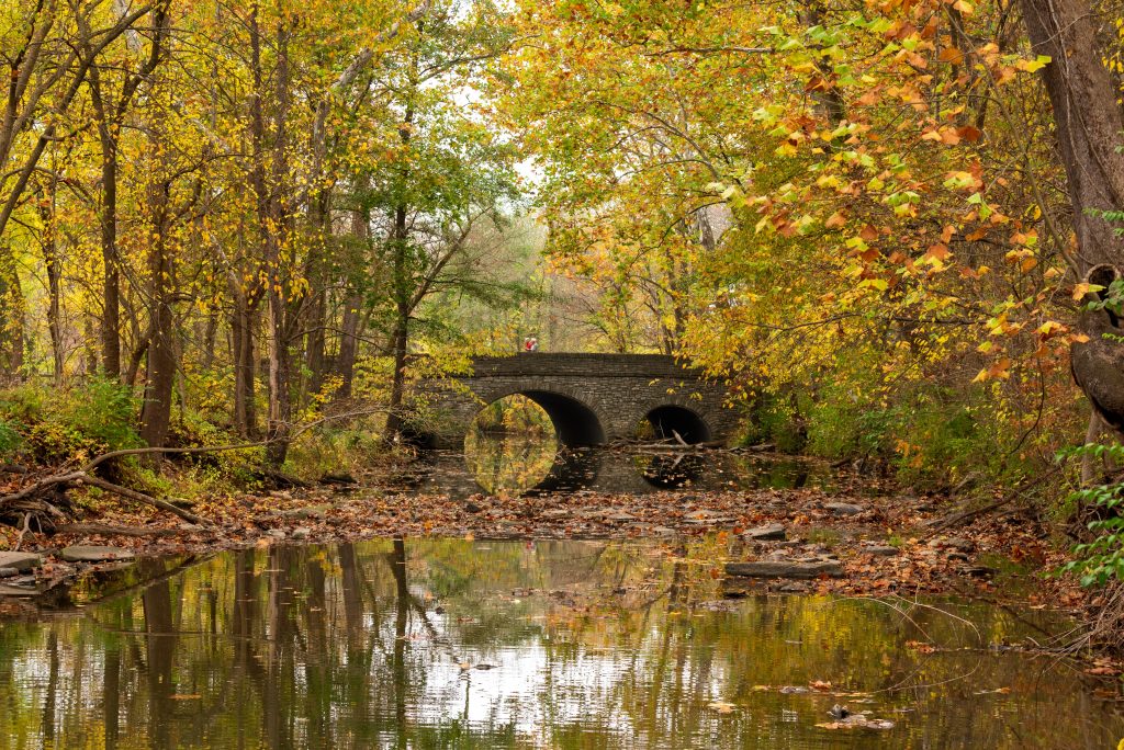 Sharon Woods – One of the Most Famous Parks in Cincinnati Photo by Christopher Paul High on Unsplash