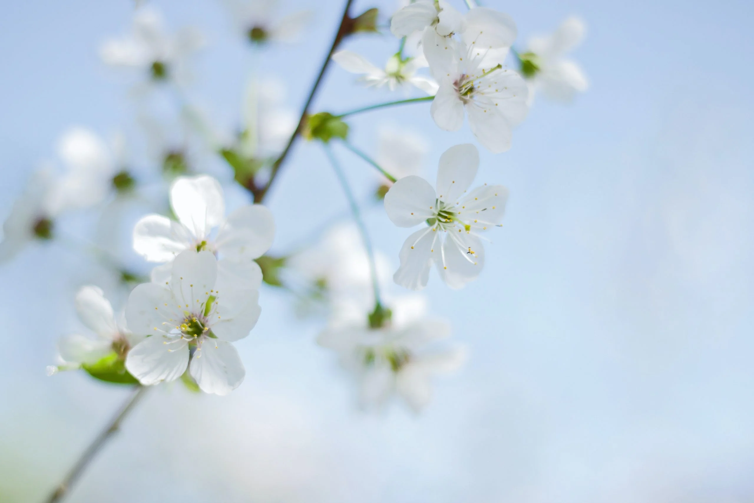 Photo by Elīna Dālberga on Unsplash