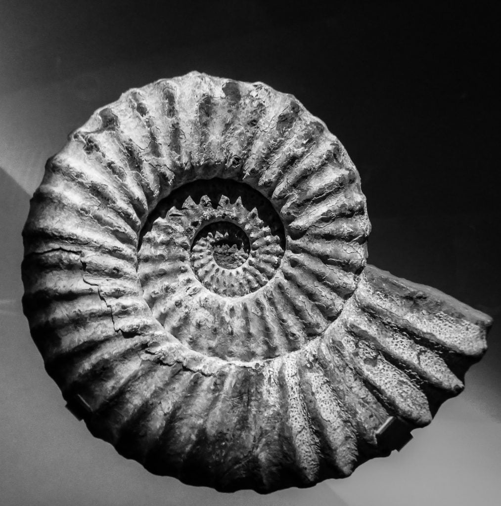 Photo by Jossuha Théophile on Unsplash