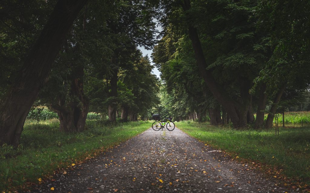 Photo by Marek Piwnicki on Unsplash