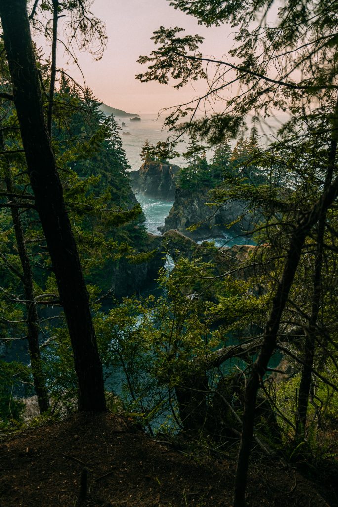 Photo by Karsten Winegeart on Unsplash