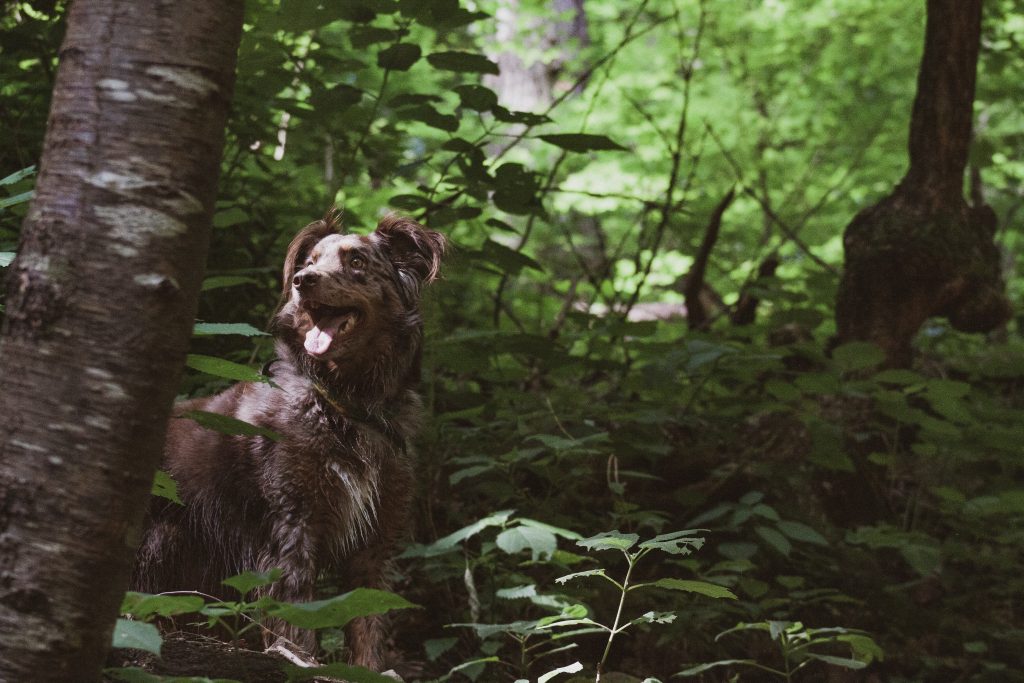 Photo by Zeke Tucker on Unsplash