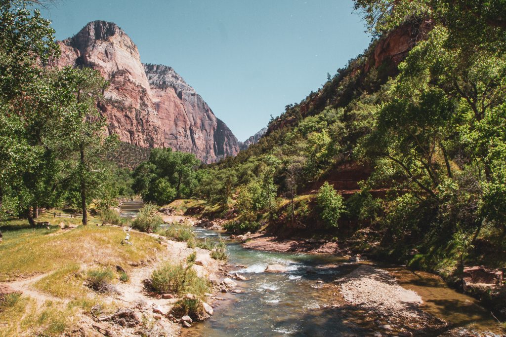 Photo by Den Harrson on Unsplash