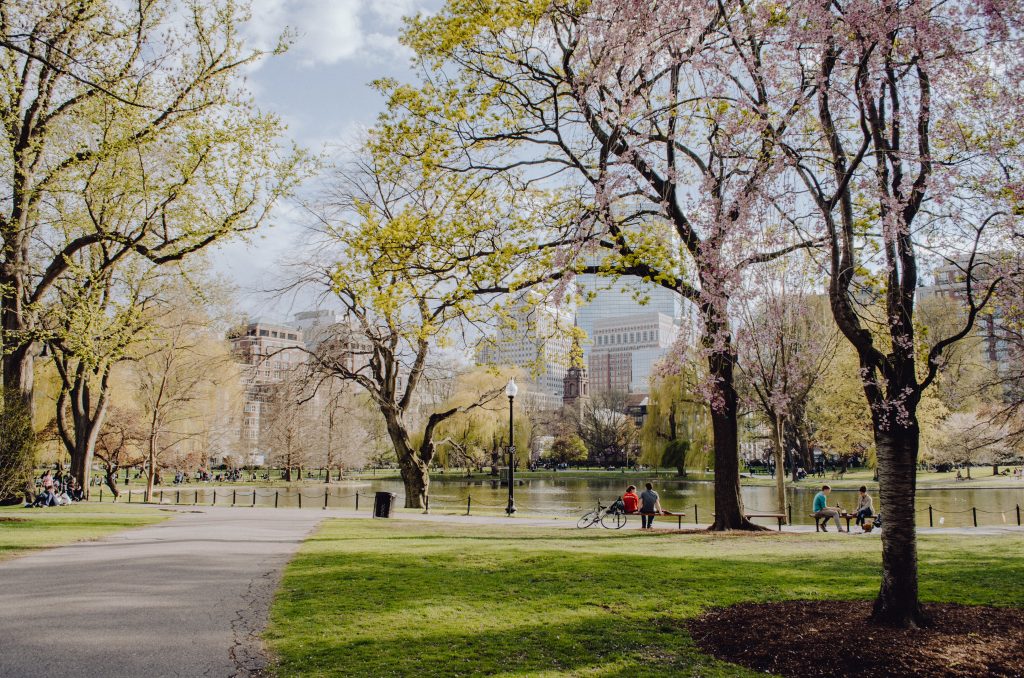 Photo by Kelly Sikkema on Unsplash