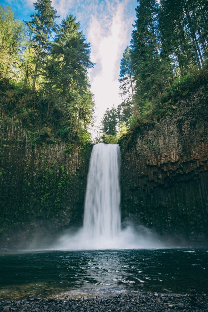 Photo by MJ Tangonan on Unsplash