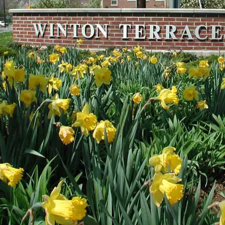 Winton Terrace: Cincinnati's District Gem in the Heart of Winton Hills - Photo Source